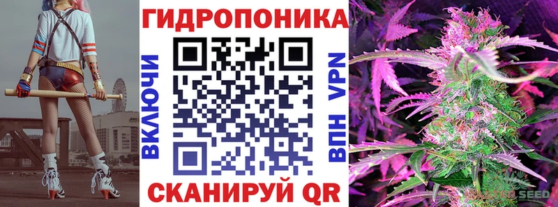 Бошки Шишки планчик  Горно-Алтайск 
